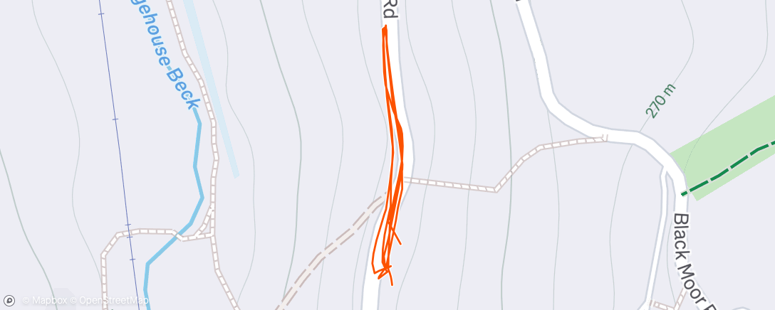 Map of the activity, Evening Run