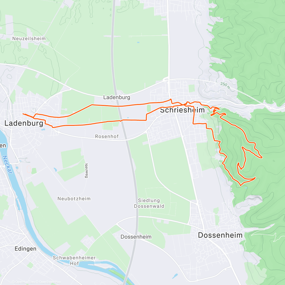 Map of the activity, Ölberg Weihnachtslauf - Goodbye Laufjahr 2025