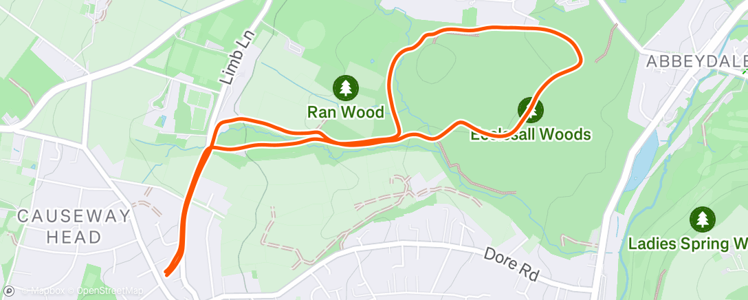 Map of the activity, Morning Run