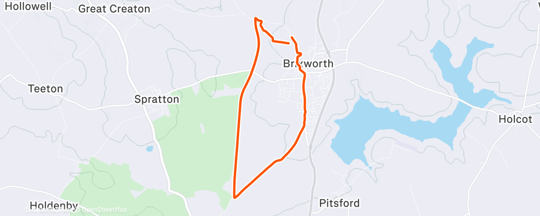 Карта физической активности (Morning Trail Run)