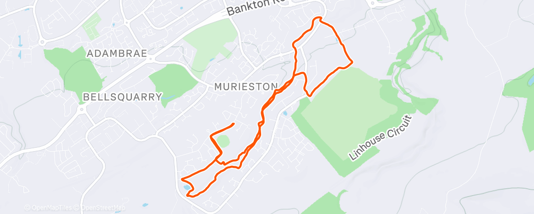 Map of the activity, Morning Run