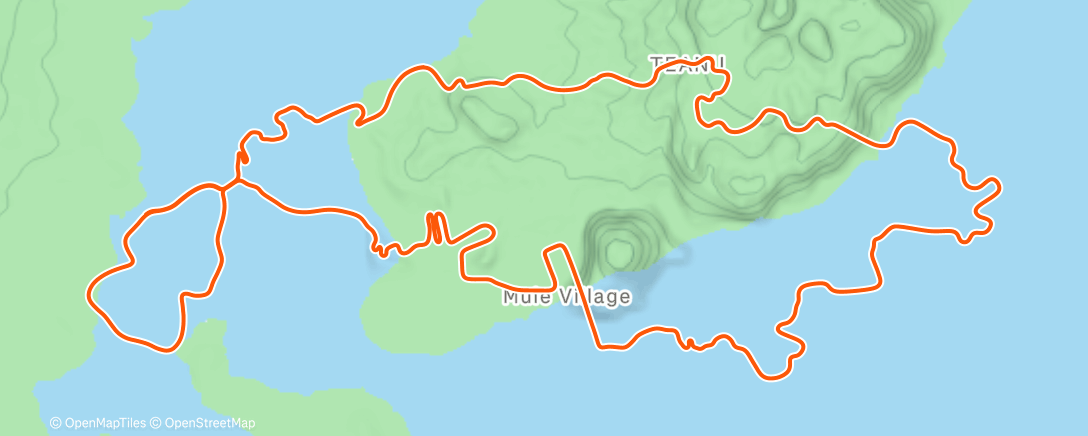 Карта физической активности (Zwift - Lionel Sanders' Yellow Day Workout on Waisted 8 in Watopia)