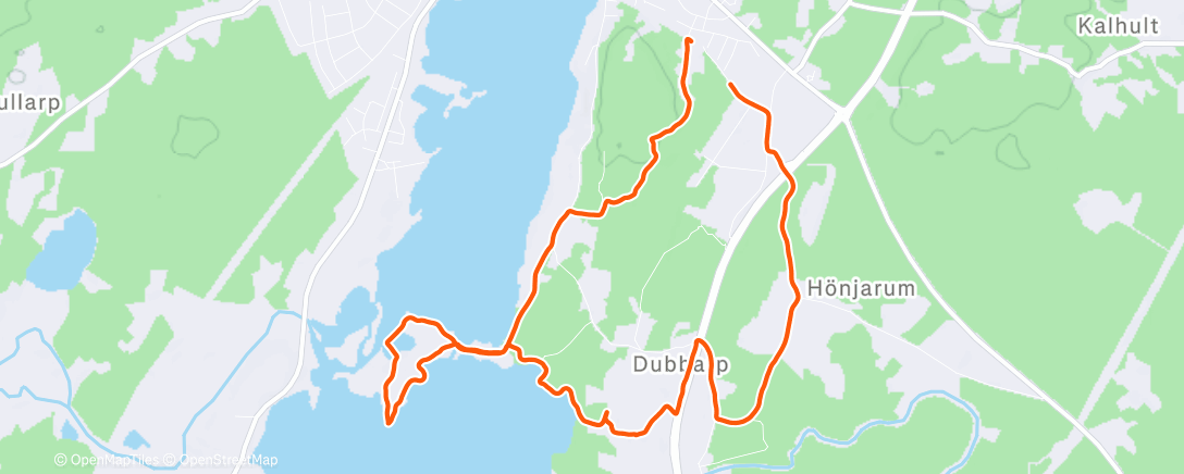 Карта физической активности (Afternoon Run)