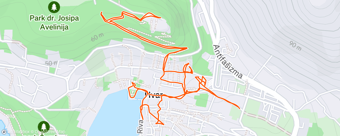 Map of the activity, Morning Walk