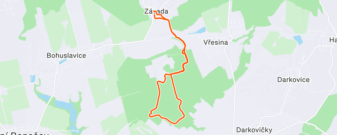 Карта физической активности (Bro Walk)