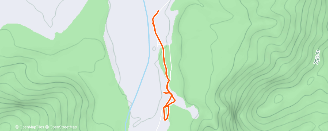 Карта физической активности (Morning Hike)