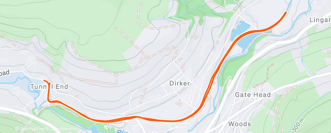 Map of the activity, Run with Erica 🏃🏼‍♀️🏃🏻‍♀️🥰