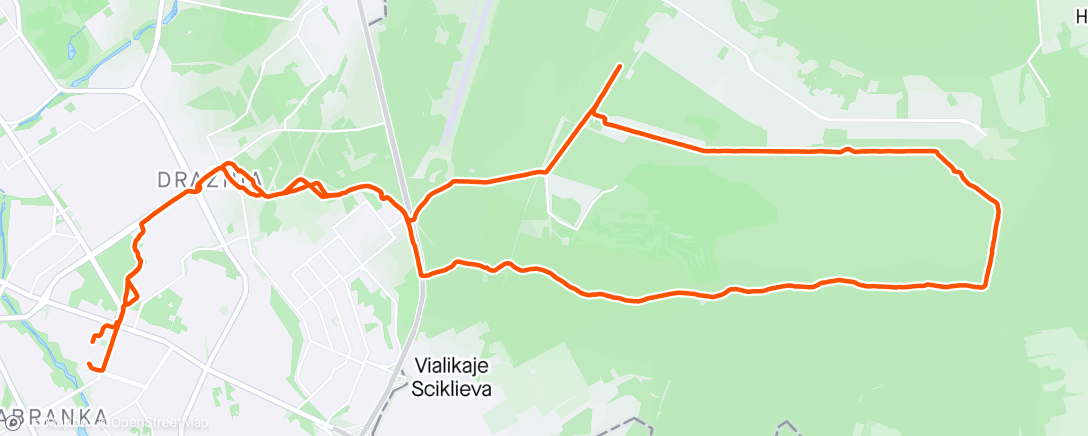 Map of the activity, В лес