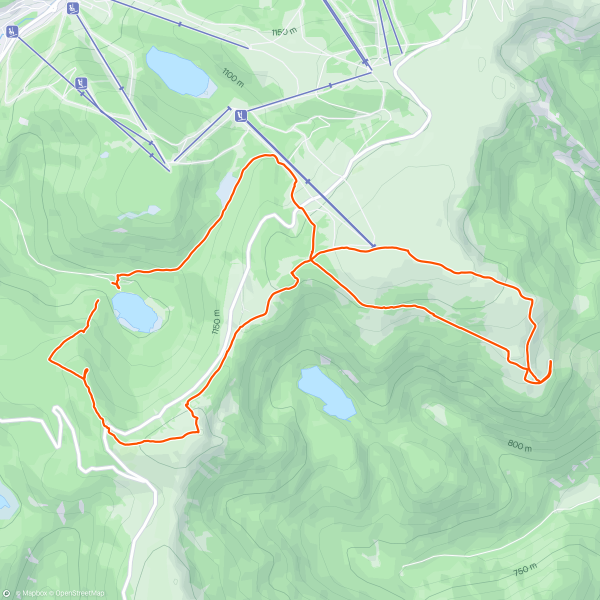 Map of the activity, 80 cm