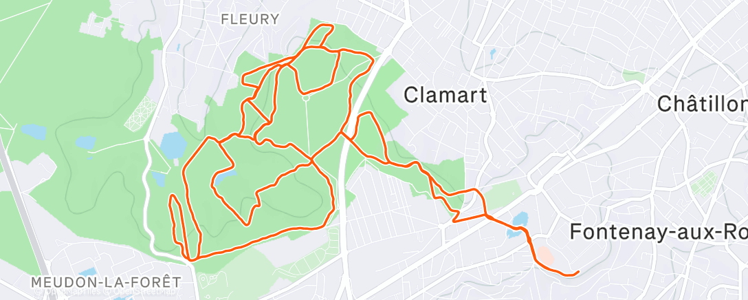 Карта физической активности (Z2)