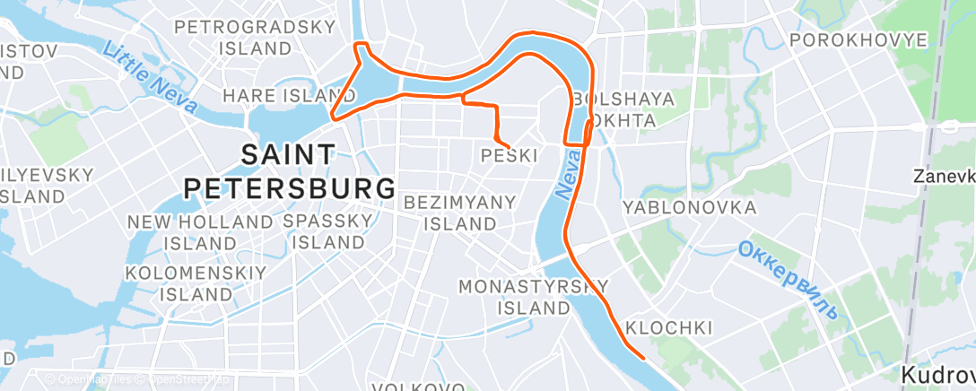 Map of the activity, В какую сторону ни бежишь все равно ветер и снег в лицо😄  Питер такой Питер))