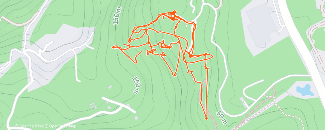 Map of the activity, Morning Walk