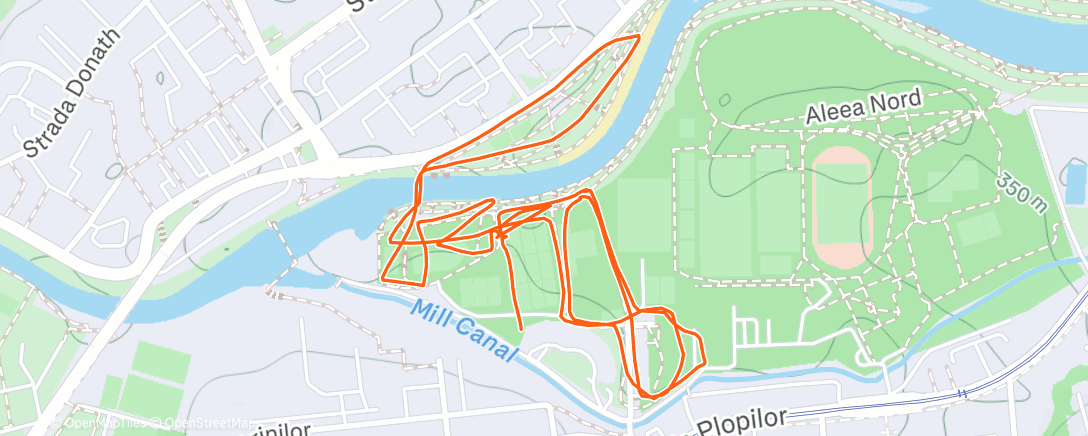 Map of the activity, Lunch Trail Run