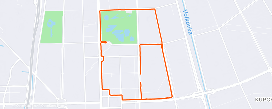 Карта физической активности (Дневной забег)