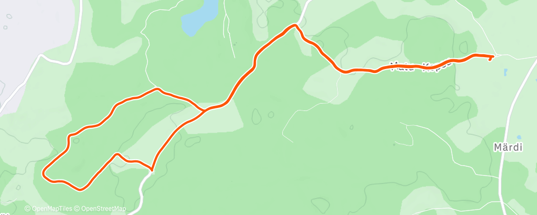 Карта физической активности (4000km / 52 800m+ asc in 2025)