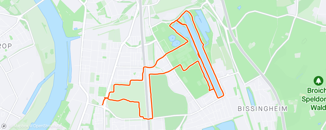Mapa de la actividad (Morning Run)
