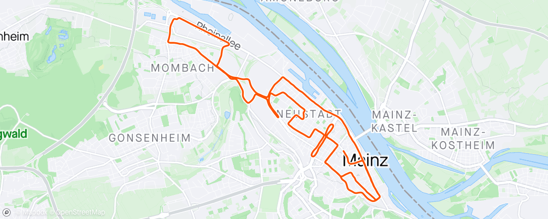 Map of the activity, Gutenberg Halbmarathon 🥰