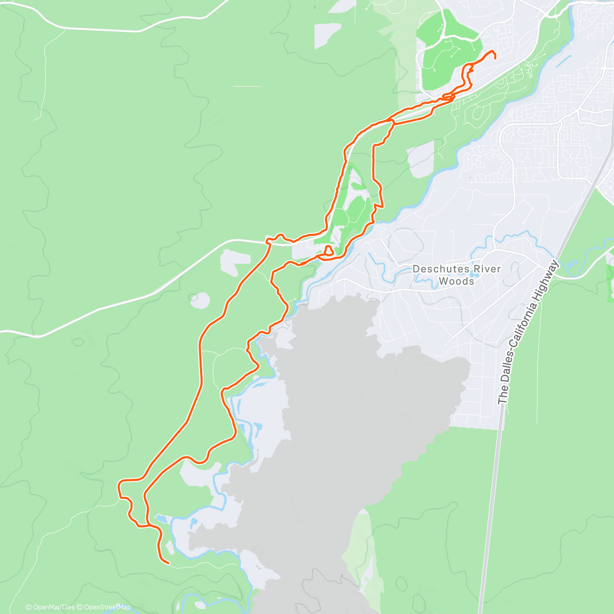 Карта физической активности (Spin)