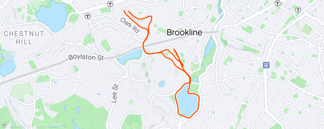 Map of the activity, Jamaica Pond