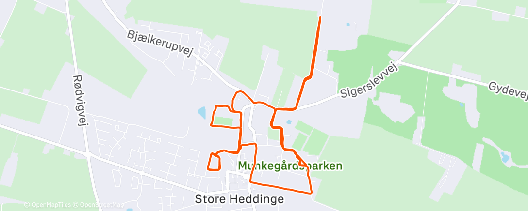 Mappa dell'attività Afternoon Run