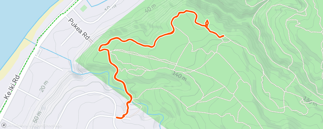 Map of the activity, Chasing dog chasing pigs 🫠