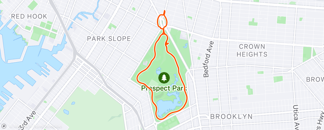 Map of the activity, loops on a tuesday