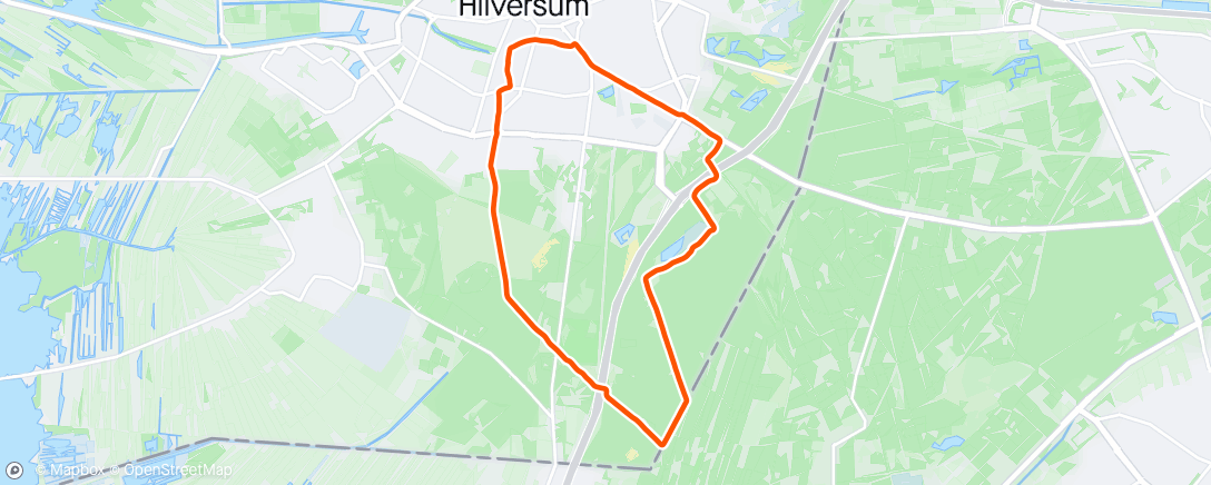 Mapa de la actividad (HDL)