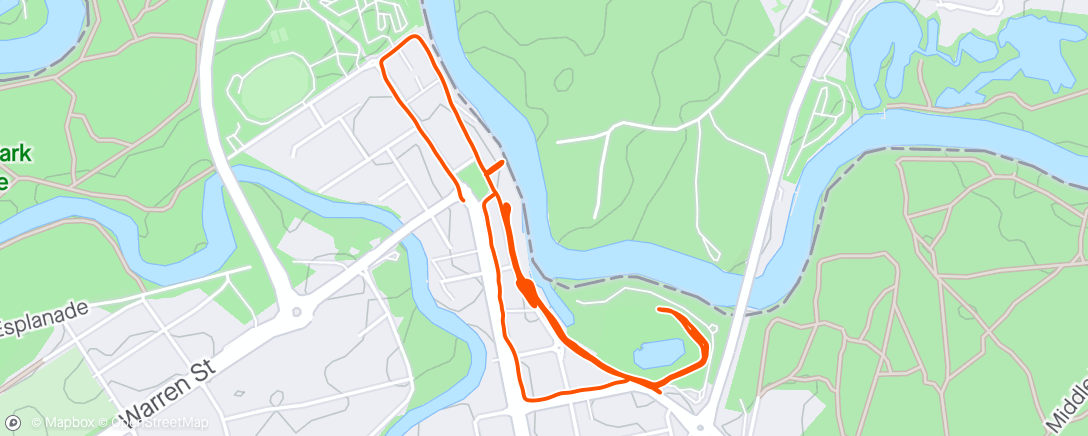 Map of the activity, Morning Run group.