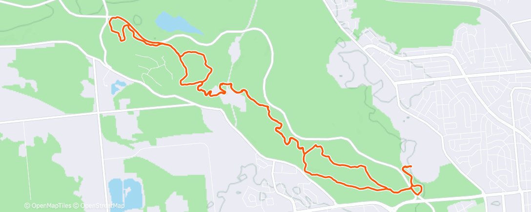 Map of the activity, New Year’s in Missing Link!
