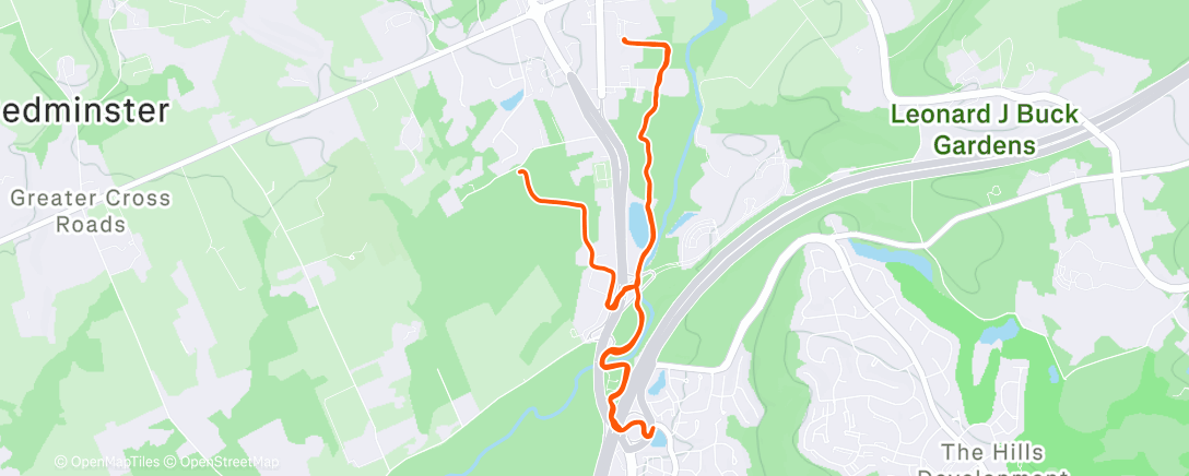 Map of the activity, Morning Run