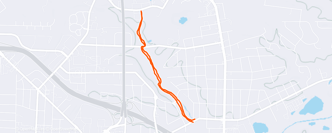 Map of the activity, Afternoon Run