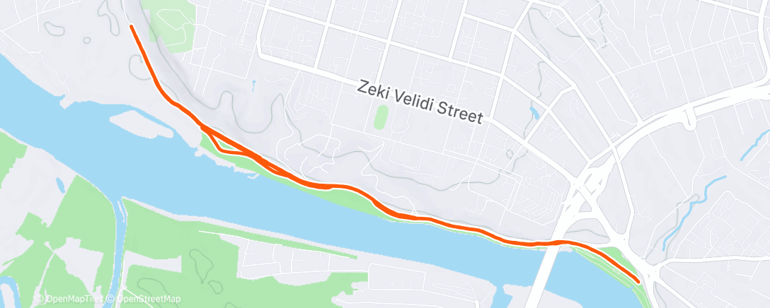 Карта физической активности (Утренний забег)