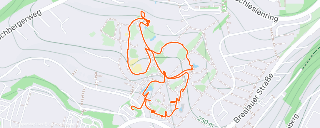 Map of the activity, Morning Hike