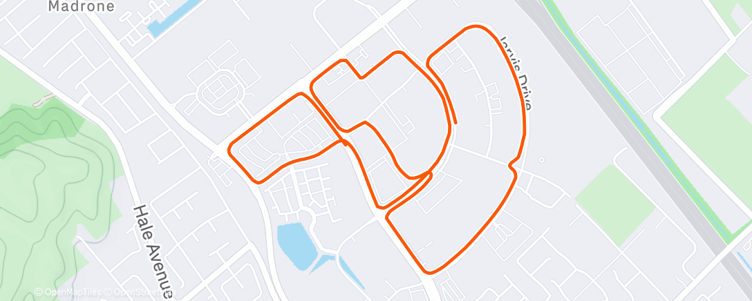 Карта физической активности (Morning Ride)