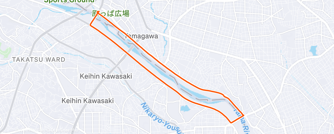 Карта физической активности (Morning Run)