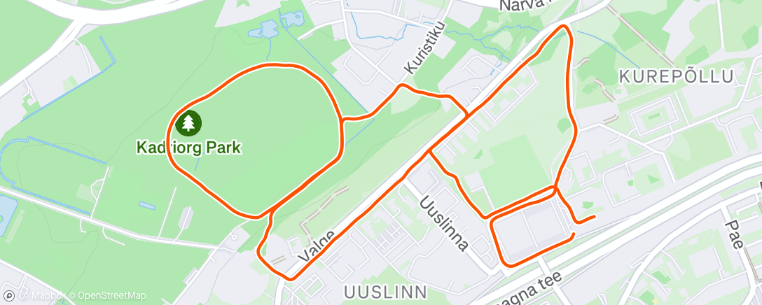 Map of the activity, Evening Run