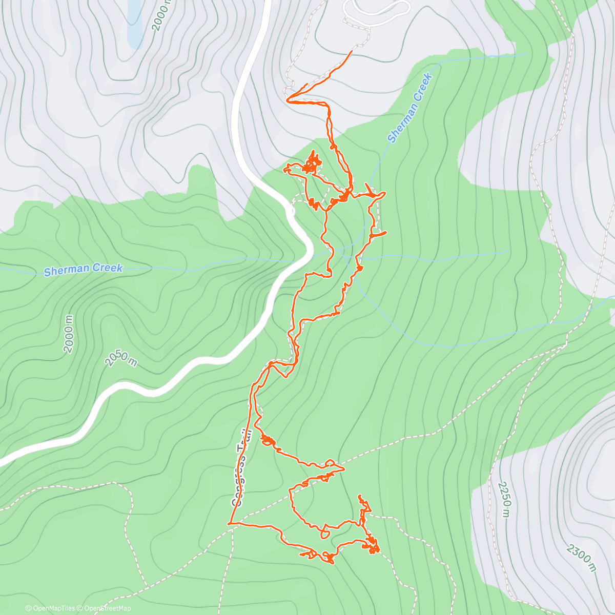 Map of the activity, GENERAL SHERMAN 🤯 and CONGRESS TRAIL
