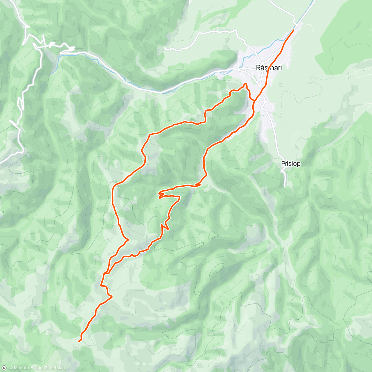 Bogdan-Nicolae Vladu | Strava Runner Profile