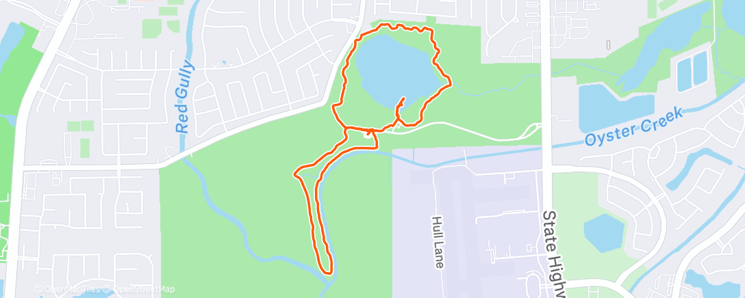 Карта физической активности (Spoonbill and Alligator!)