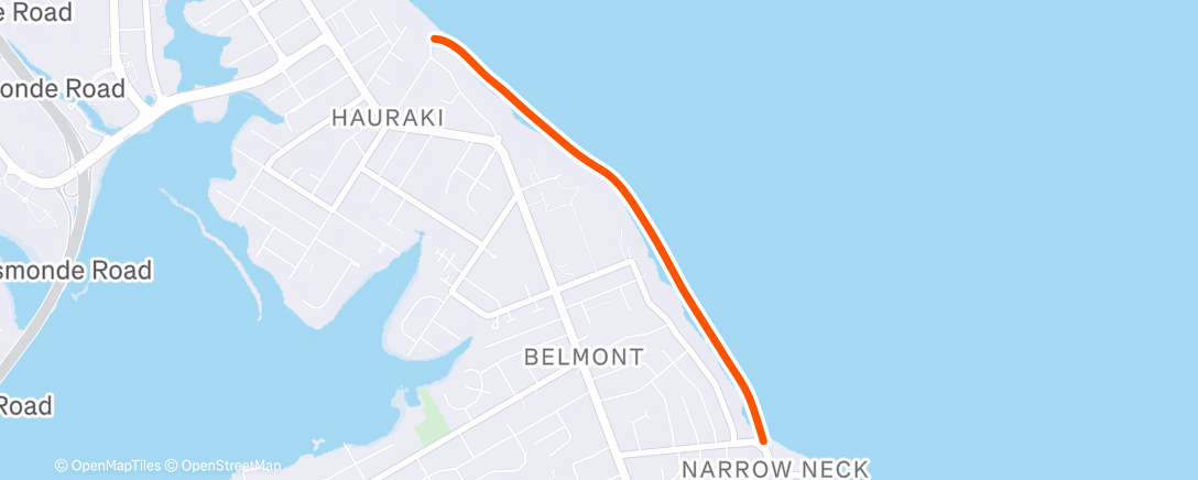 Map of the activity, Morning Swim