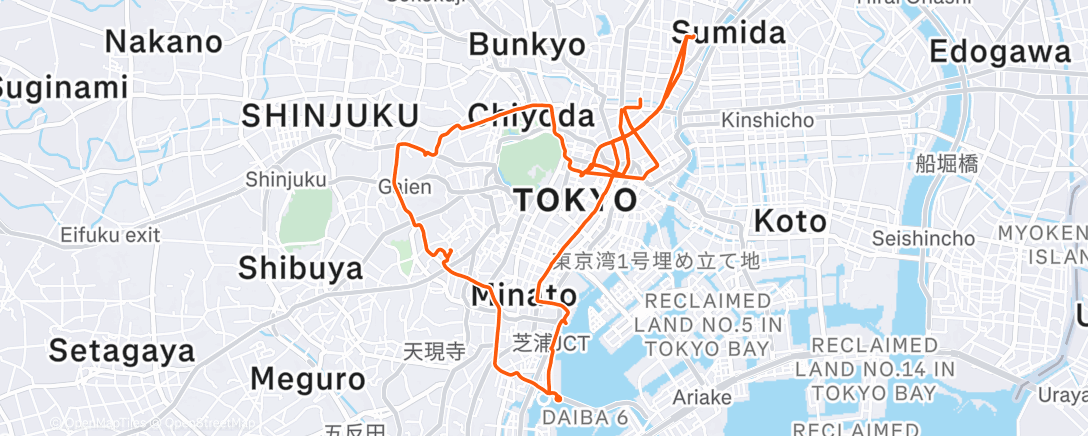 Map of the activity, 年の瀬都心サイクリング