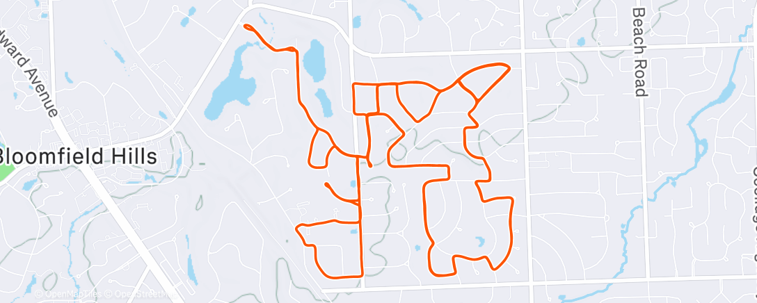 Map of the activity, I cannot believe I didn’t get 1000 ft