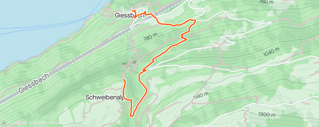 Karte der Aktivität „Giessbach”