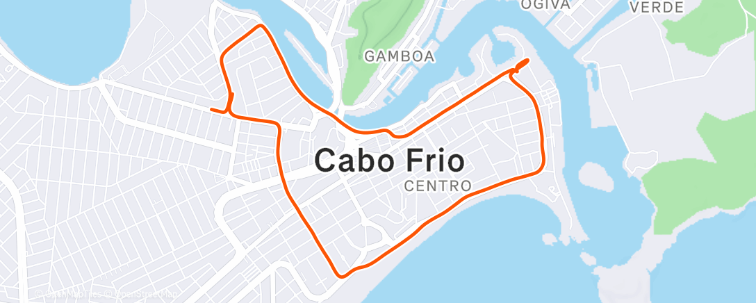 Map of the activity, Morning Run