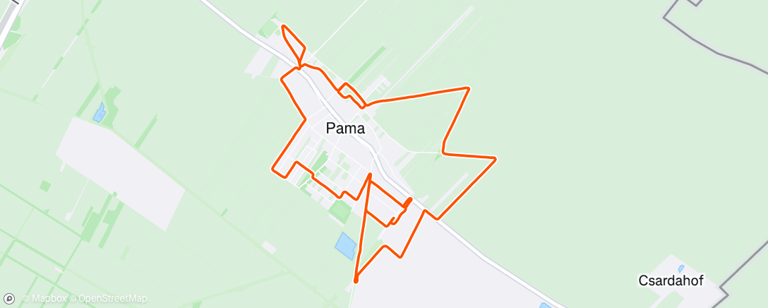 Map of the activity, Morning Run