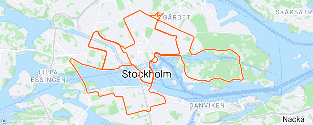 Карта физической активности (Stockholm Marathon 2024)