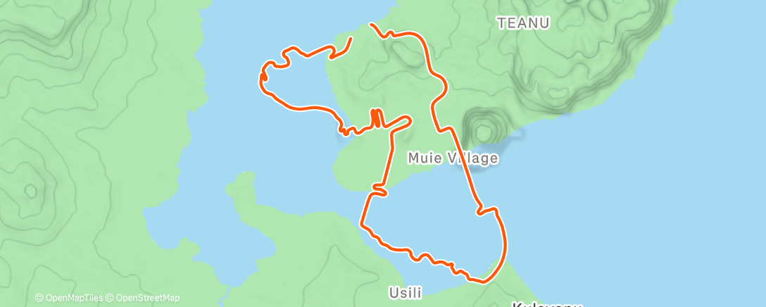 Карта физической активности (Zwift - Ocean Lava Cliffside Loop in Watopia)