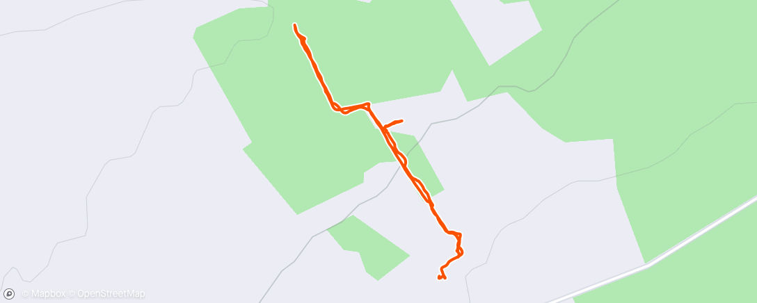 Map of the activity, Afternoon walk with the dogs