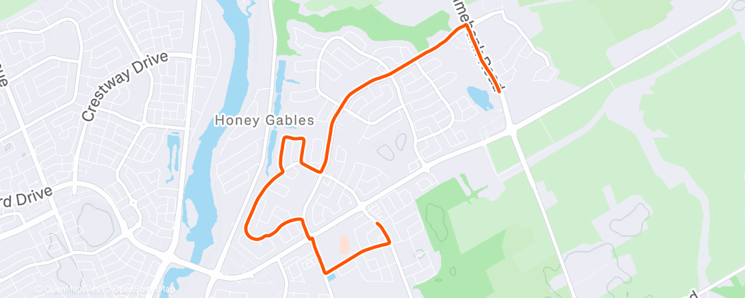 Map of the activity, Morning Run