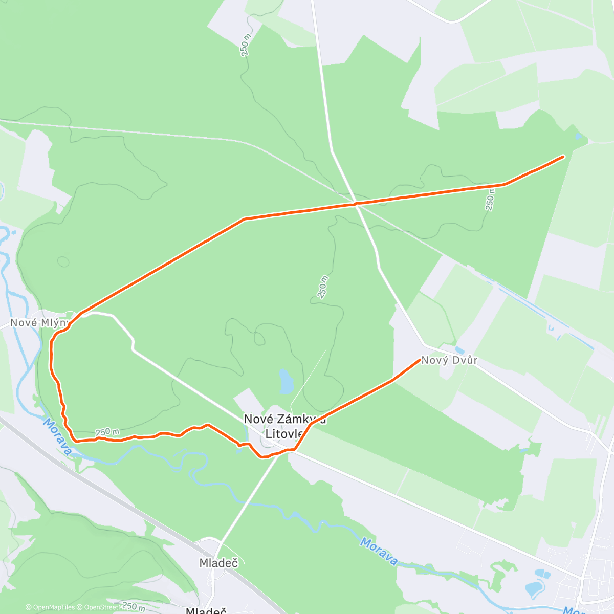 Map of the activity, Morning Run